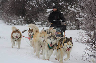 Full Day Nieve con Trineo Huskies